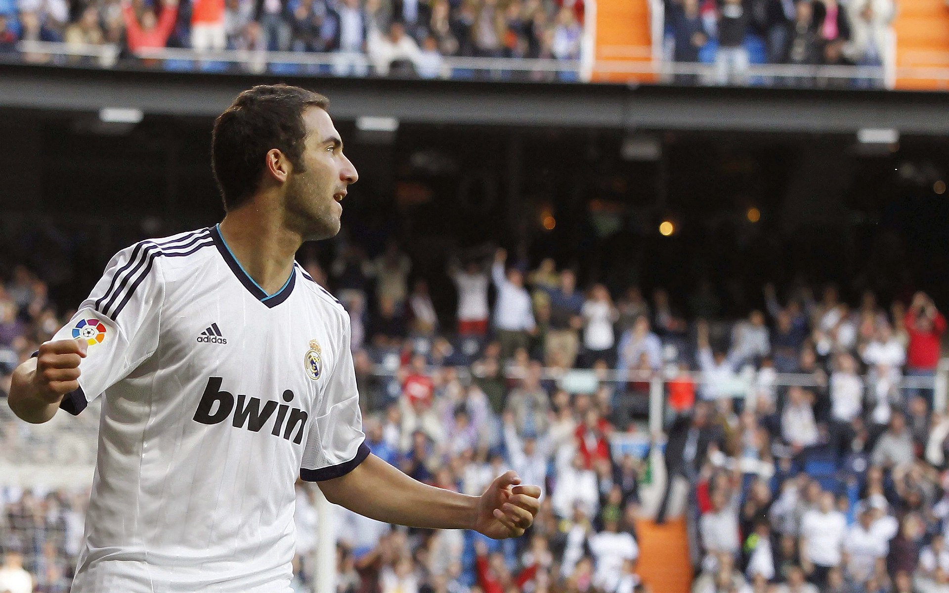 开云注册网址-“亚戈·卡尔曼的技术提升与领导魅力，让阿根廷美洲狮队再创辉煌”